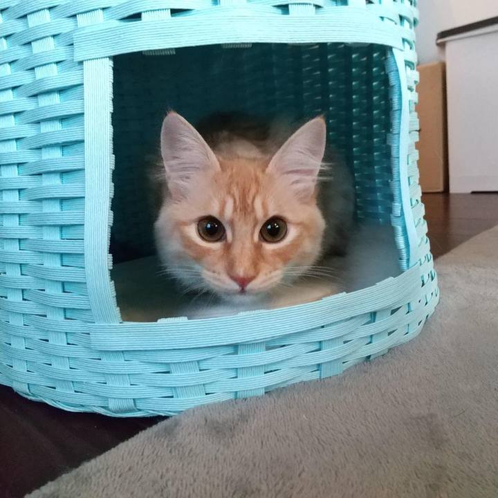 82460750 4f45 46c7 8094 e85bea1cadf7 1617749344352