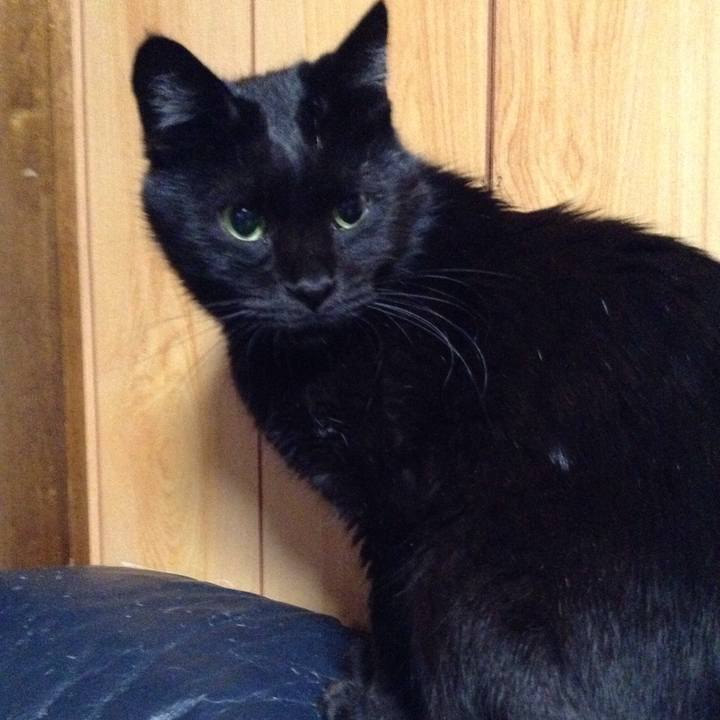 82461a05 4945 4b1c 8db9 a02d6eddddcc 1570051683018