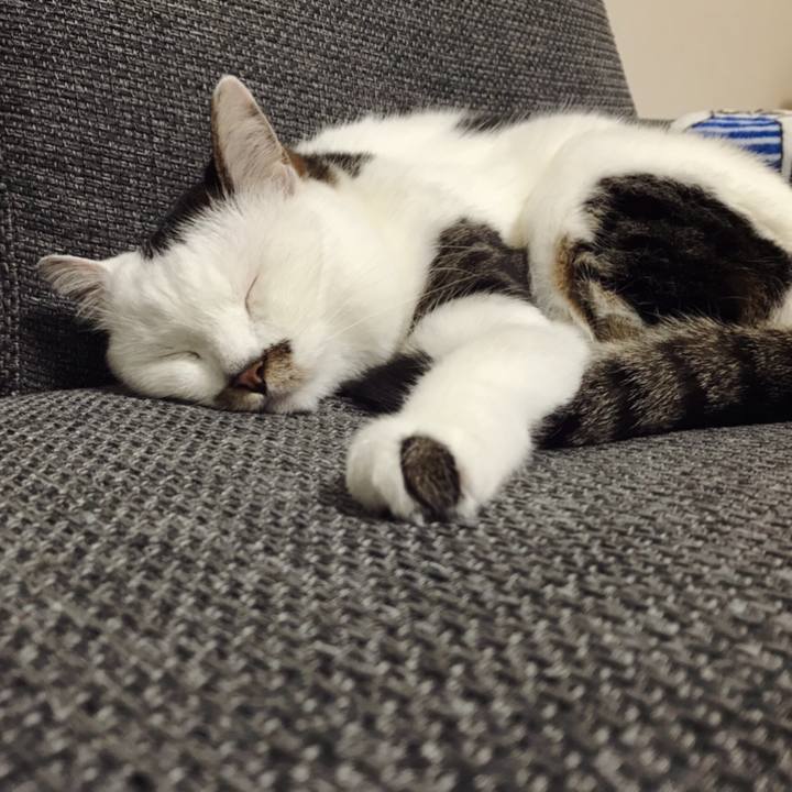 82463e1c c434 4fbe add0 5984ef518eb8 1591584464380