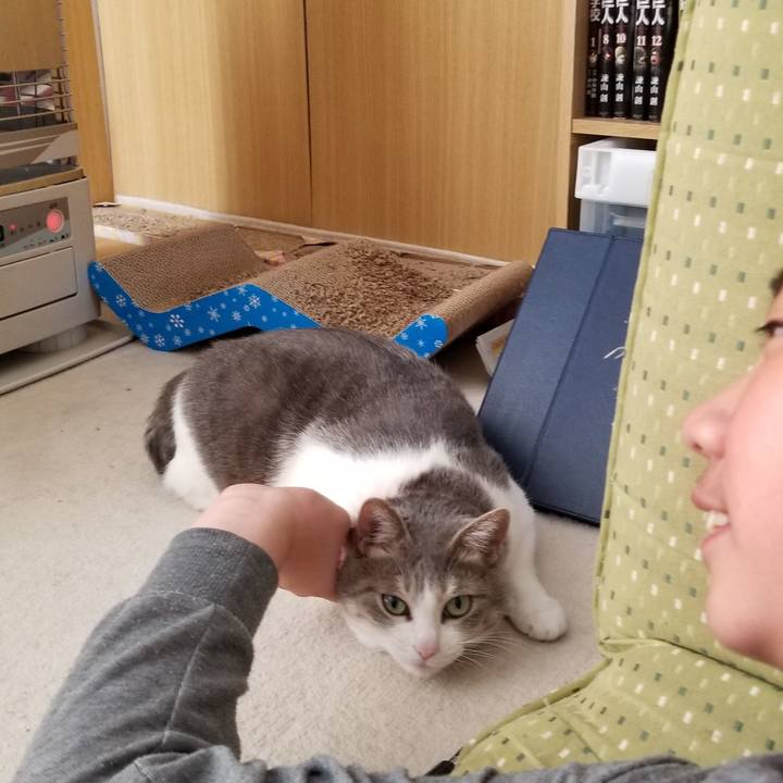 82464f13 2bc4 4d35 9079 947eb99c0af0 1581428059971