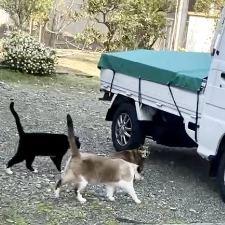 8246541b 5df5 4f9d 901e 2d2a57d72aef 1733776151306