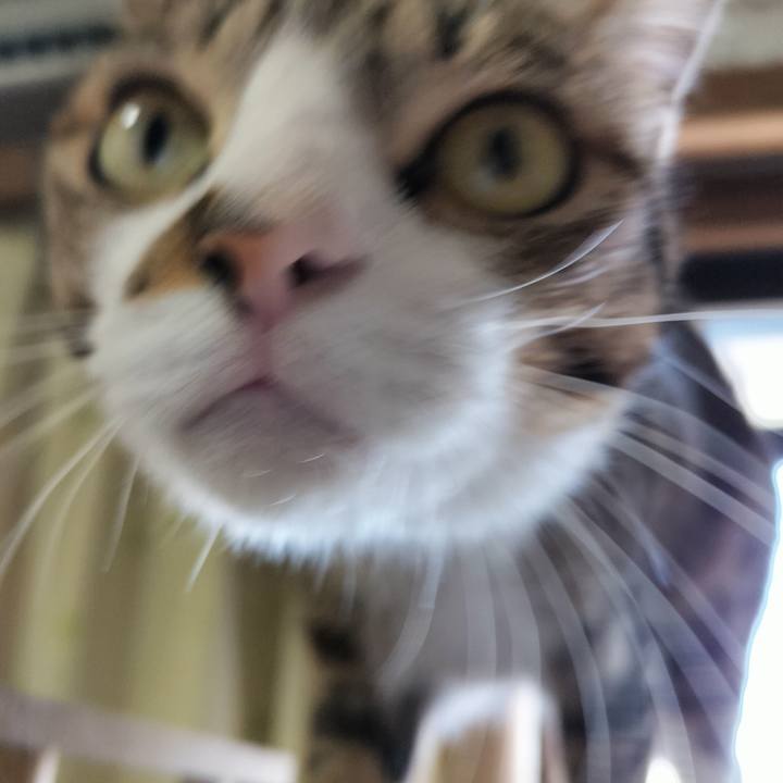 82468d83 cd92 4d75 ae2c a548098688a1 1715389265735