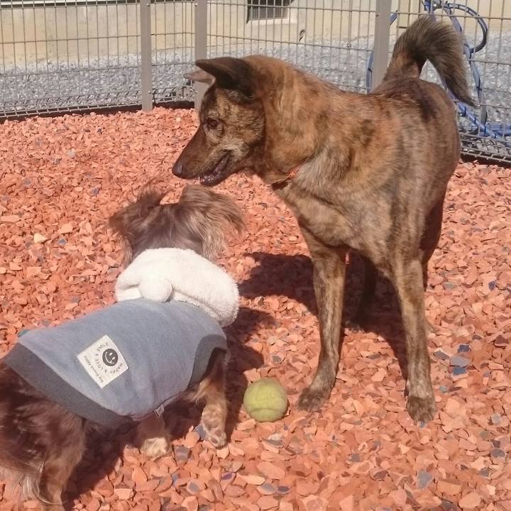 82469436 82c0 4110 9c58 f75a7adf01fc 1518336080087