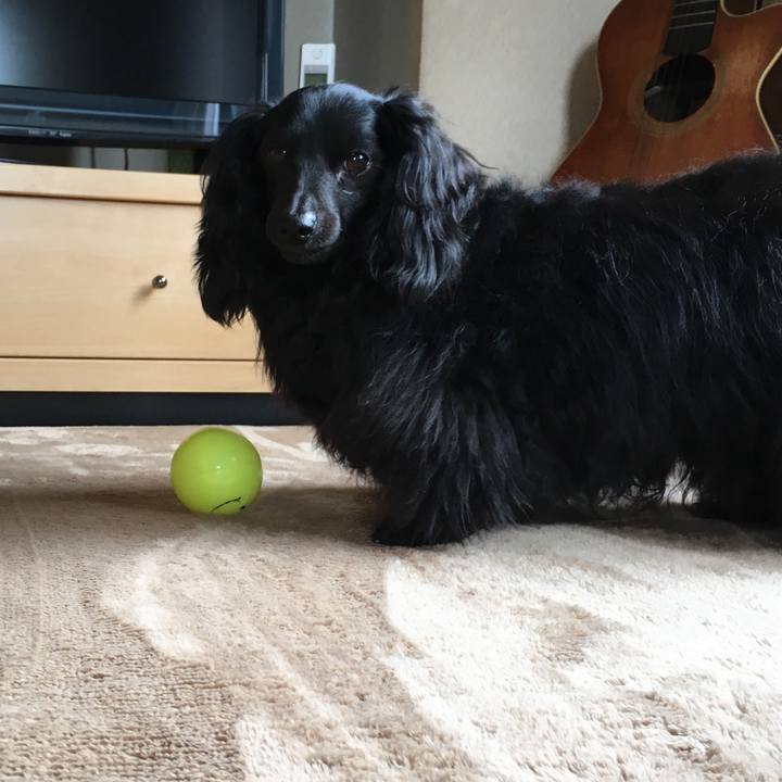 8246bd5e 2ede 4739 99b5 e7fec55b39ad 1704034854331