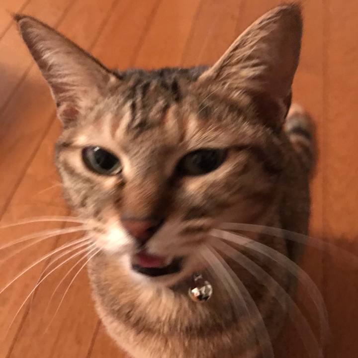 82470a46 9aed 4de4 9c7b cb841df3b768 1579521431618