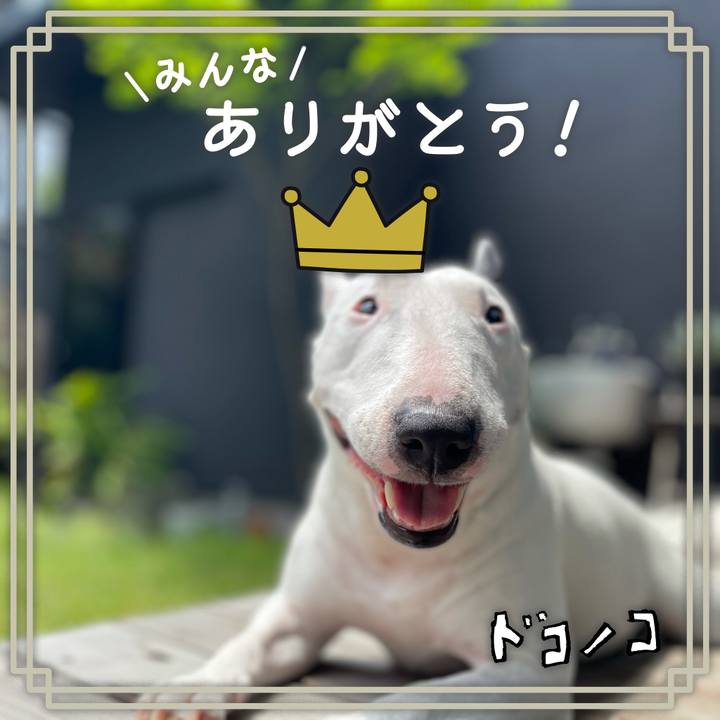 82473d61 b680 49a2 81c4 69bfeefd3a86 1623131760327