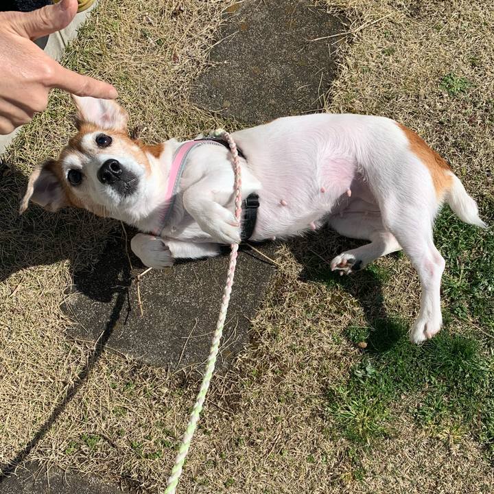 82474118 108b 45a5 8499 dd7ce9f28a4f 1584274978275