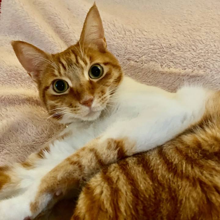 82476406 f9c6 4855 83c4 9018a093de7a 1620212137754