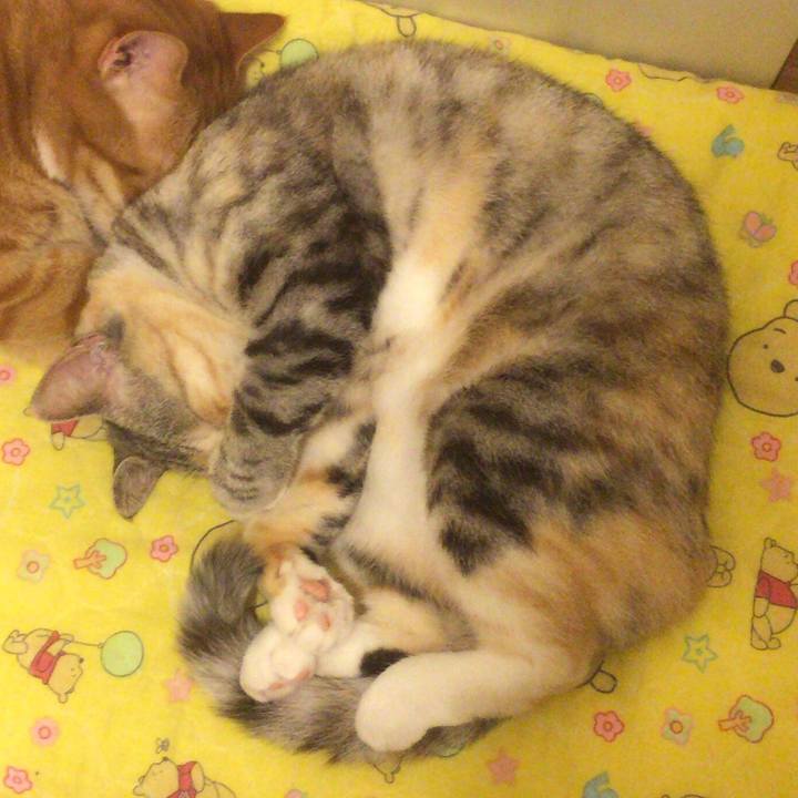 8247651d 2c13 4aa8 a212 71fd2a0af55b 1547133970677