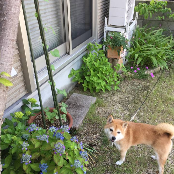 82478283 752a 4b2c af95 881975f455d6 1527142086885