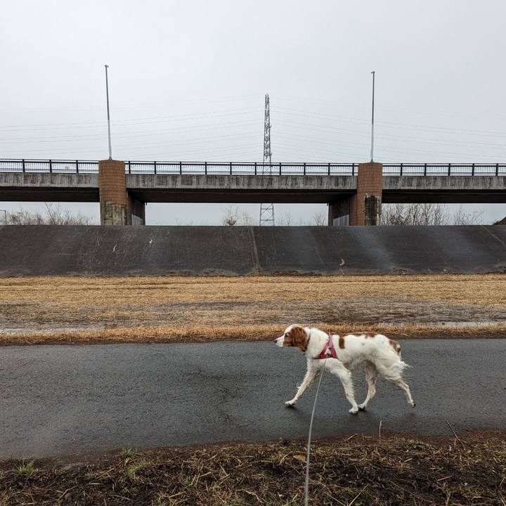 8247af6c e45c 4adc ae8f bfde407c3f72 1673683645240