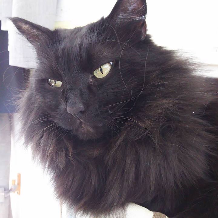 8247cc21 b7cb 4d3b 9da9 350a3a8425f2 1549878509103