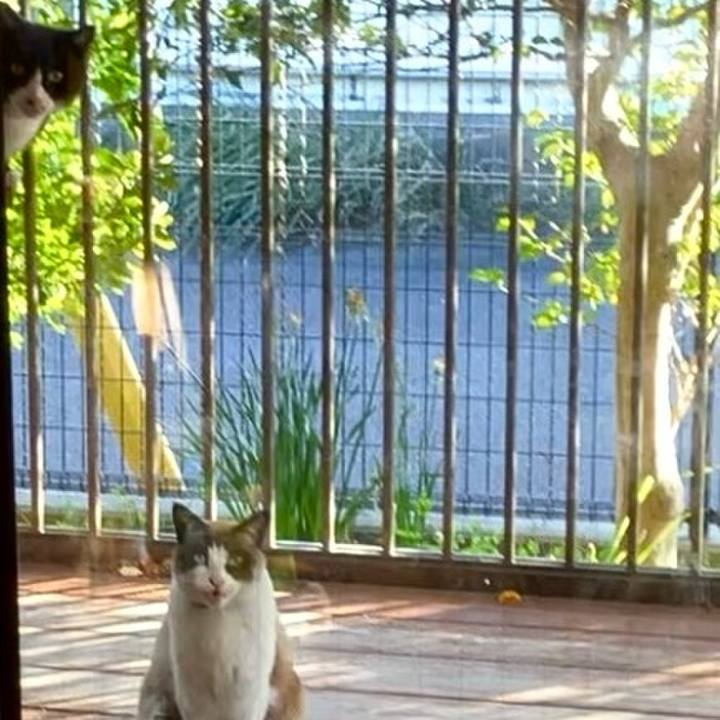 82480bb6 b562 4a0c b52c 9faa4c6dda83 1743586423752