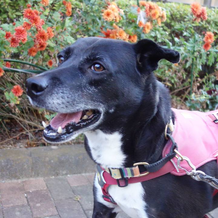 82483322 ad99 4ea2 bf64 b405d4cad402 1701306249625