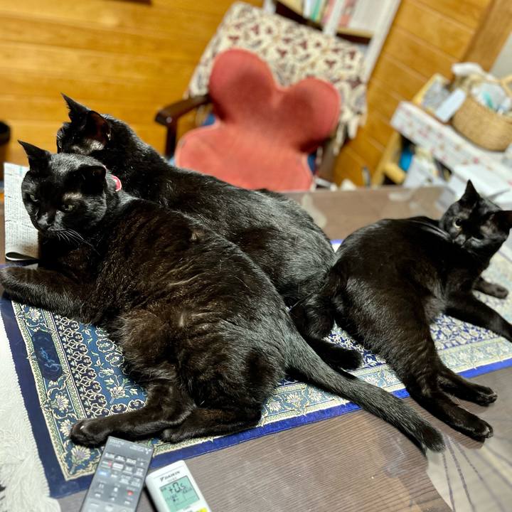 82485cad 5eb0 4729 8dc4 5c05214538a3 1688894605970