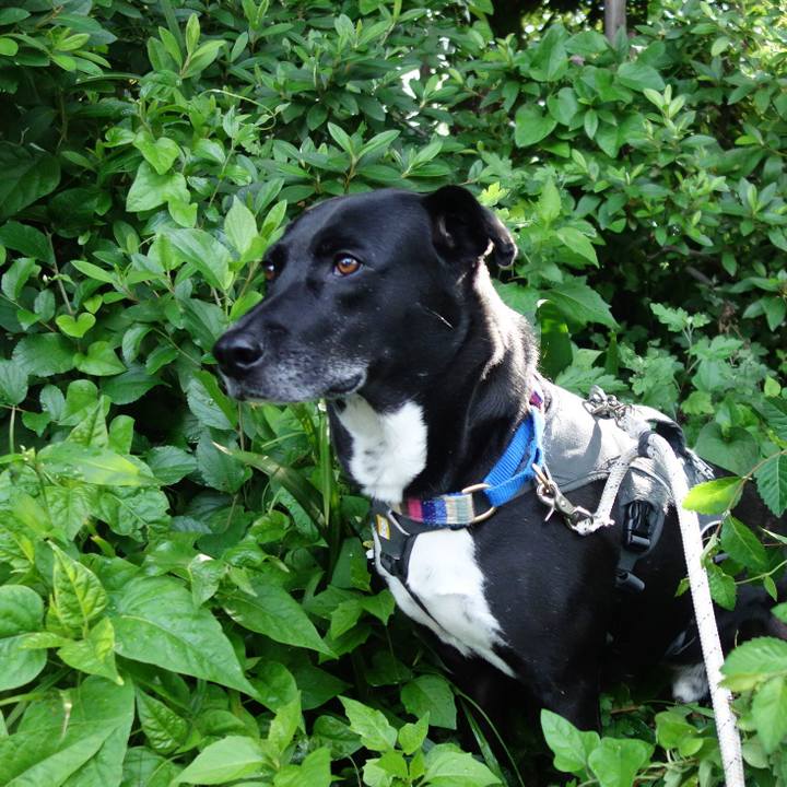 8248aa90 2eb3 4d8a a8c7 47540453993c 1654302346377