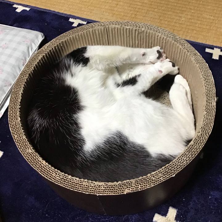 8248b849 0cb7 479d 93e8 2feb17897c1c 1708687727754