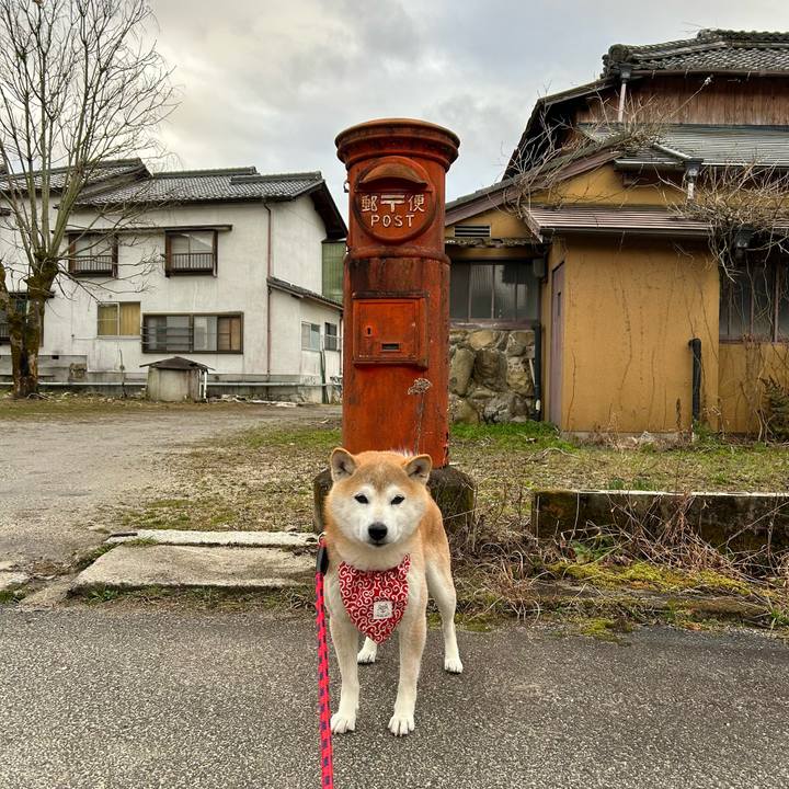 8248bf9a e378 4559 8015 fb680094a013 1708248855753