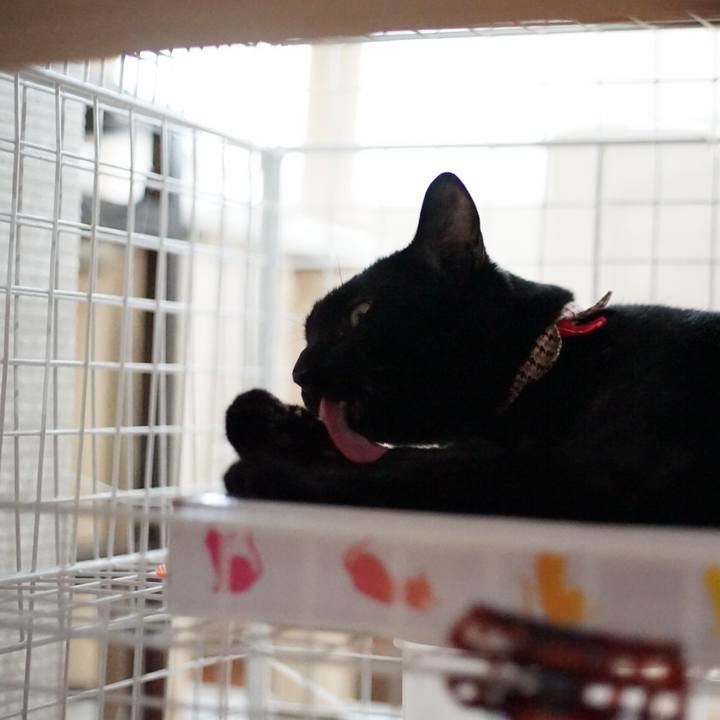 8248c748 3822 41a8 bda1 8e4cd9c47fcc 1531879463022