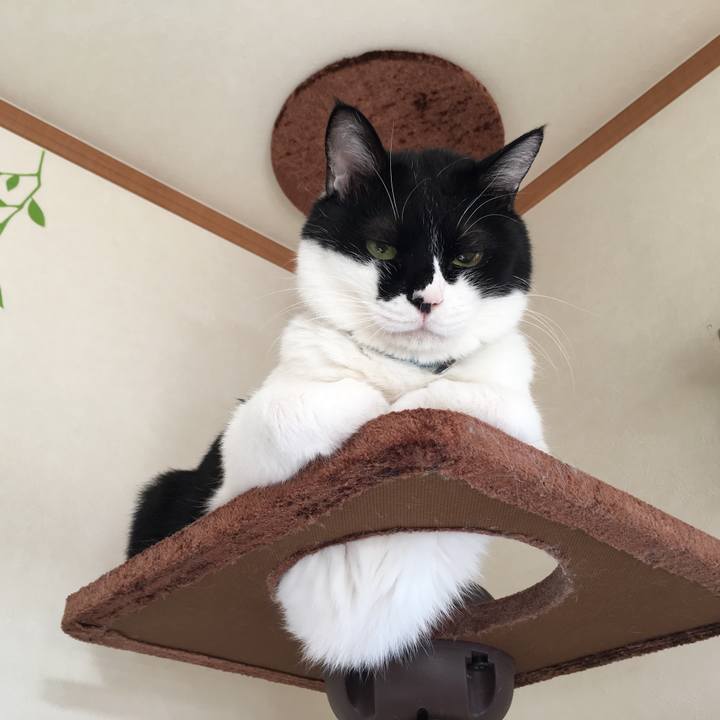 8248d105 62de 491f af11 0ce00269947b 1512614110335