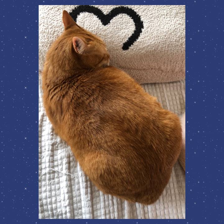 8248d666 d318 4909 8c6e 21f019a7e797 1651197029597