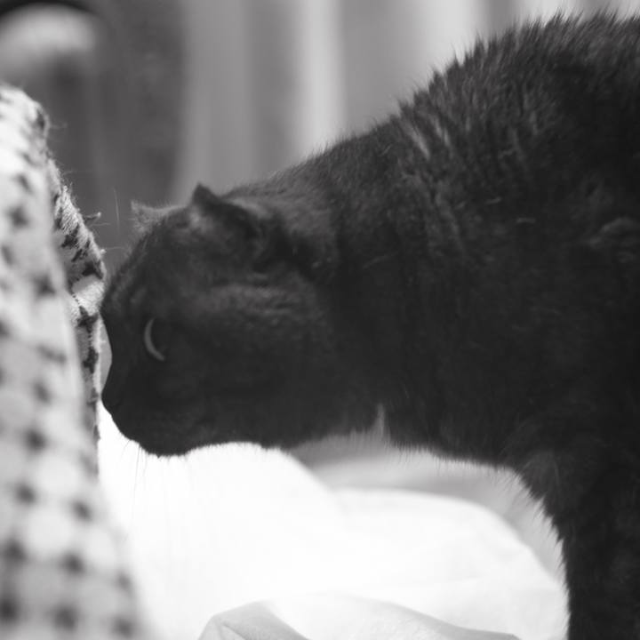 82490c2e 7068 4376 81ce 97fdae8ee07c 1619711666782