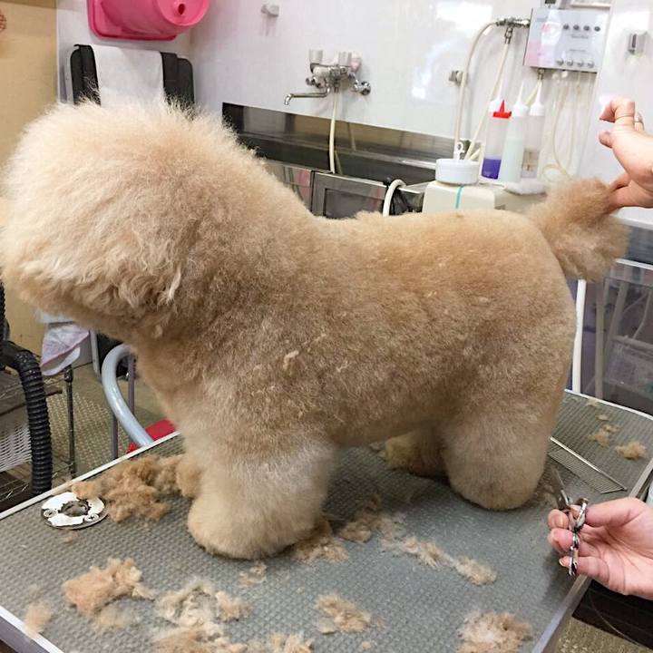 82492338 8b0c 44d0 82fb 83b5b07f551e 1559554668471