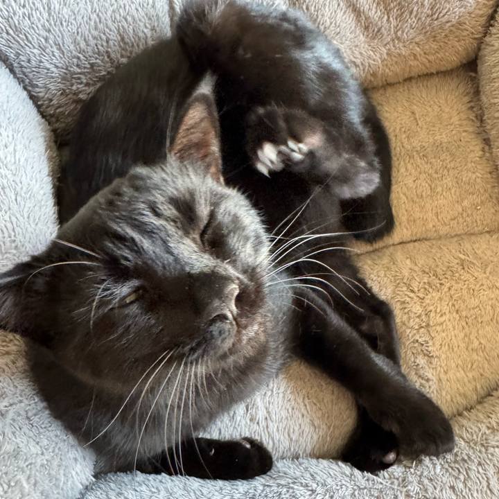 8249533c 55ff 4541 b262 60e1646d2800 1735609425601