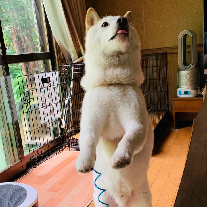 824965f1 9407 4846 9637 c093eaa2c156 1601151680763