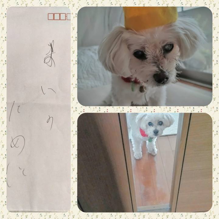 82497342 8957 40ca ac66 8eb277673289 1697237419434