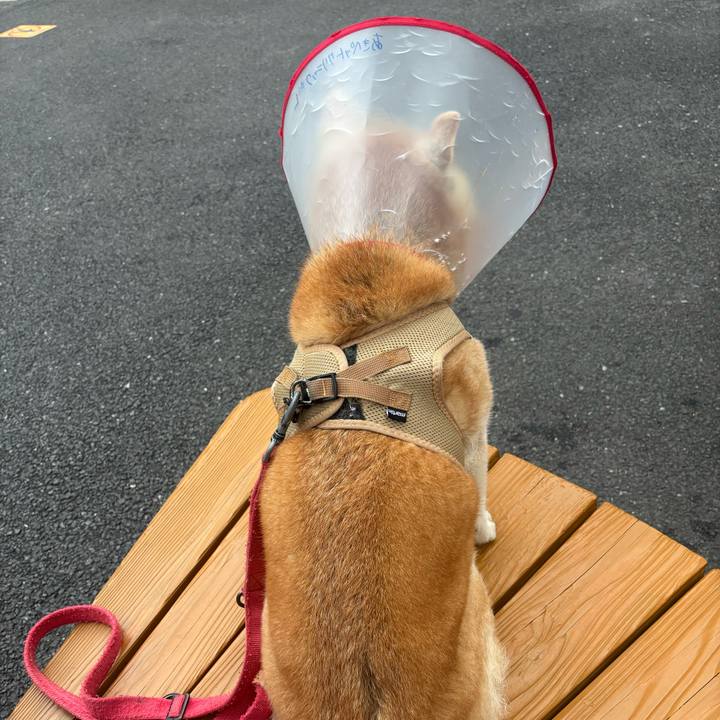 824977aa f941 4a5e 996f 6968589dad1b 1756675018631