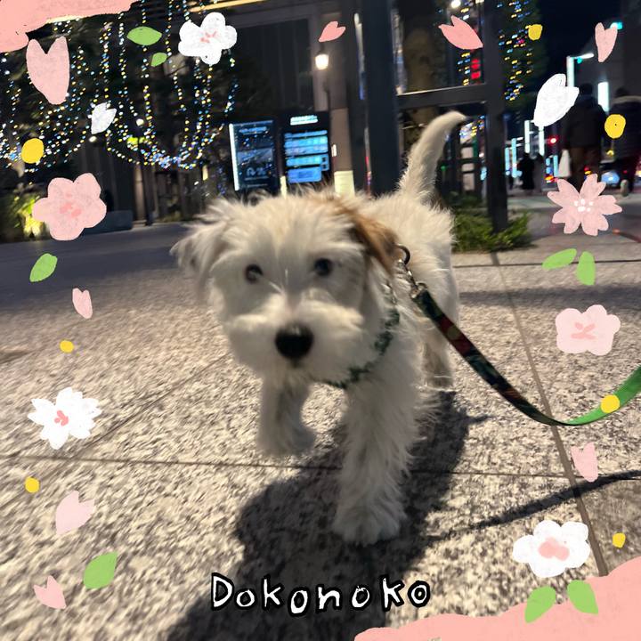 8249ca47 2875 4d77 8553 f11bf036cdc6 1711540798056