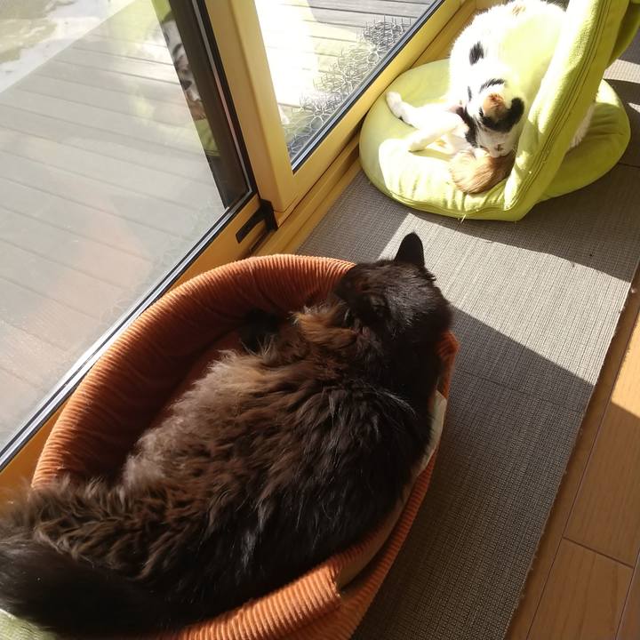 8249dd15 73cb 41c6 b9d8 9ab24ef0601d 1641701815386