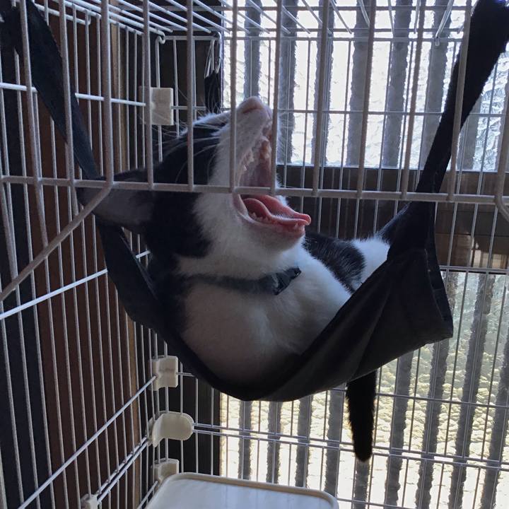 8249f792 0d64 435a 9aa1 76627ccb913c 1632737014390