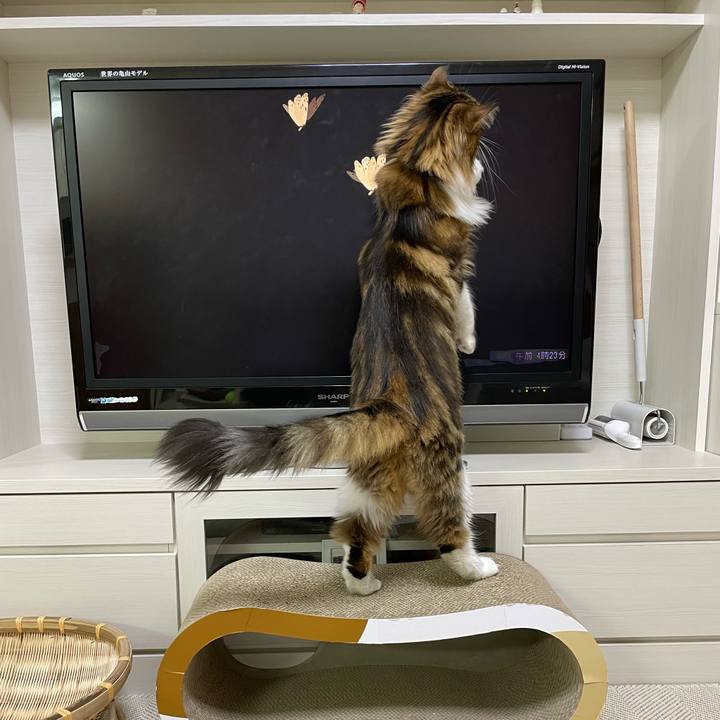 824a7cac a4ca 4b34 a83a df242f7390a9 1668973089415