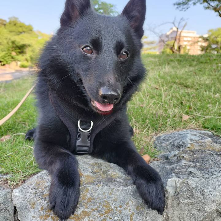 824a85c7 0f5c 4795 bd26 b86f1e473cb2 1686956390411