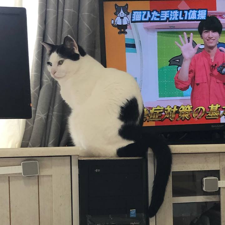 824a9aa8 acc4 4b7c b233 81a9fd6b526b 1595642931516