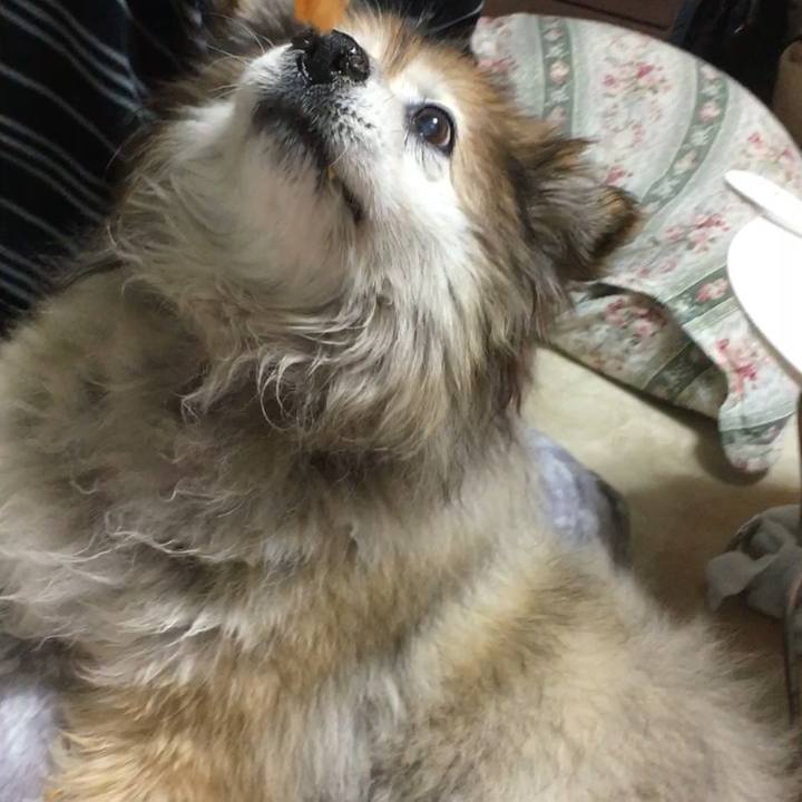 824ab718 1e38 4ead b18c f899ea6d5200 1573189668333