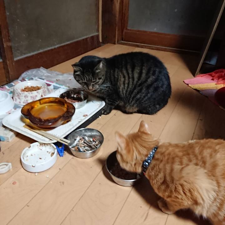 824ae924 4a66 4544 bade 8224f7c4b4ec 1637527039530