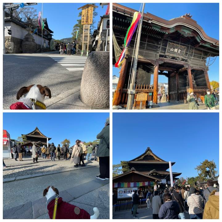 824b1344 ec39 42be bf28 b2f5dd31c266 1648888358491