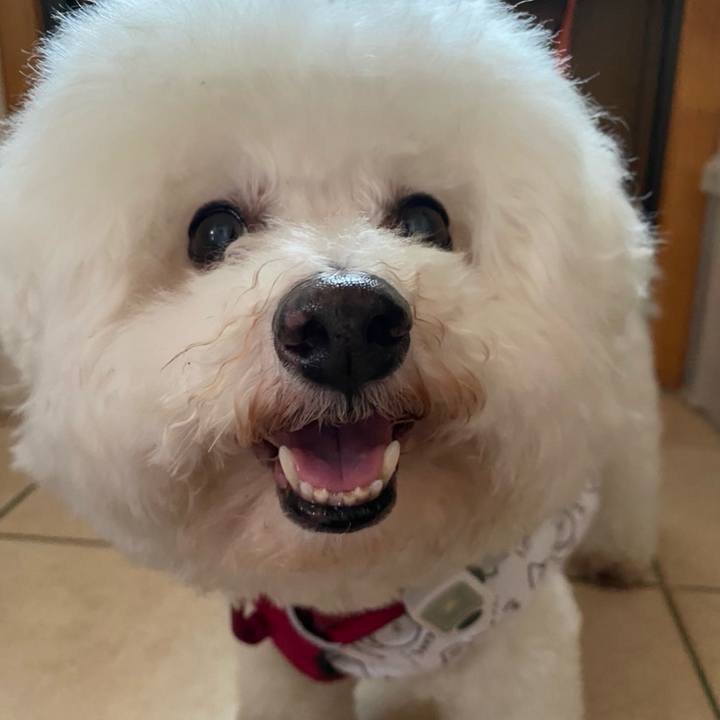 824b1e1c 3389 4ad9 a39e 91629194468d 1733286473809