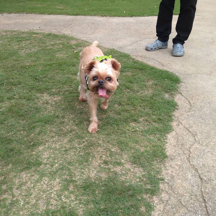 824b5bac add4 41a3 92af 1b1ddce6c282 1624771899064