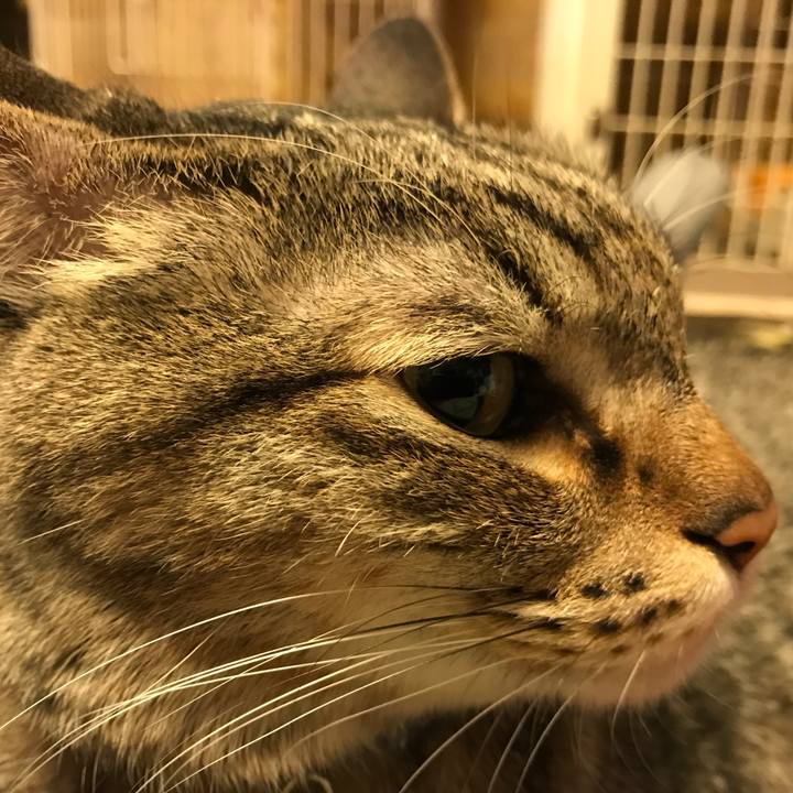 824b813e cdb1 4580 8a3d 71d383026e08 1552199469589