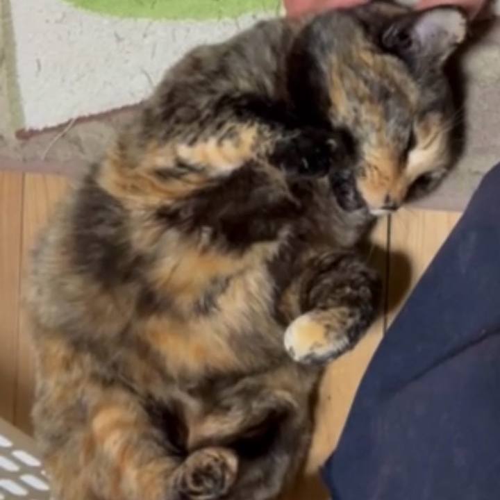 824b9602 e410 4a99 b979 aa77190b6dec 1775852843792