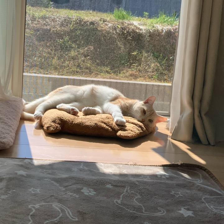 824bfd20 4415 4203 ac22 7793031c99ae 1667358879691