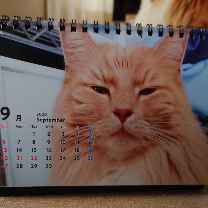 824c2520 b4f7 4ebf 8dfc 1ba82bfc7060 1599887206914