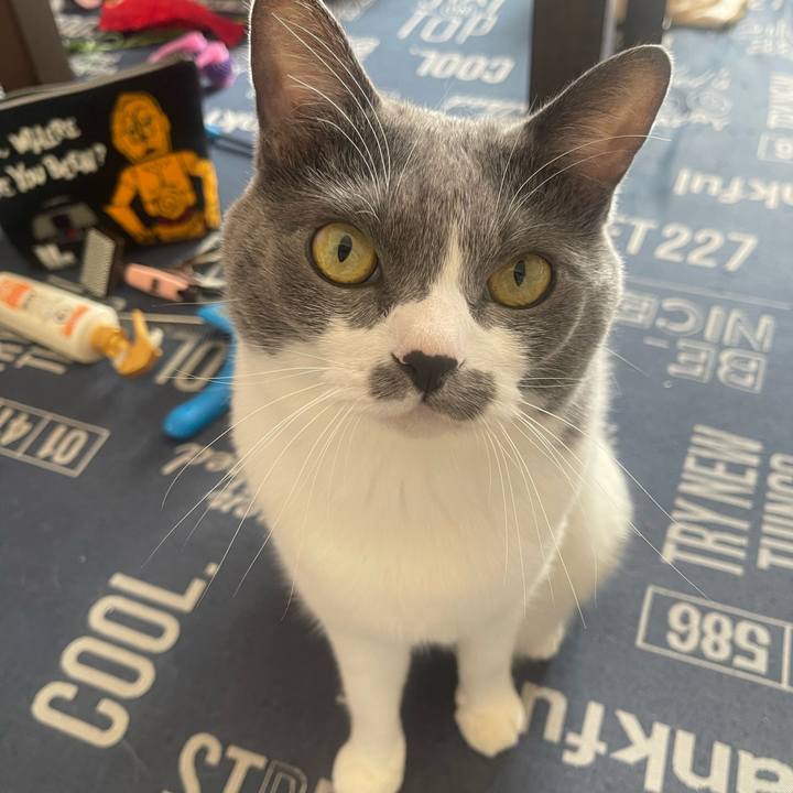 824c36be ae26 42ce abca a8e6f24e470f 1732409646407