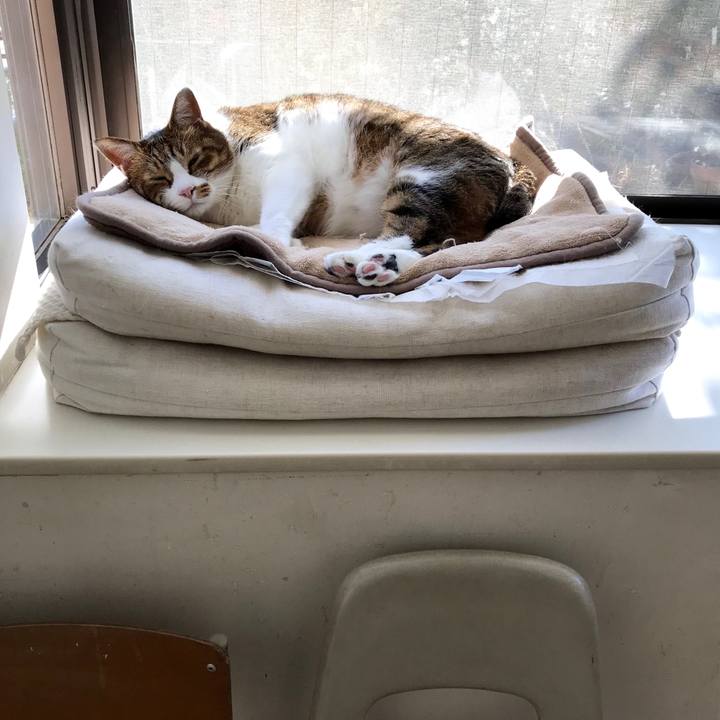 824c5afa e69c 4d4a 9fe6 ec2ec3ea2bbf 1578466572959