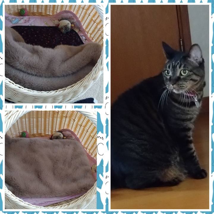 824c6bb1 fe0b 4618 810f 580e29872b5b 1761888963573