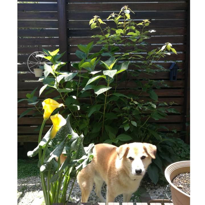 824c83f5 d30b 4b75 9263 8bce3032d556 1560390089829